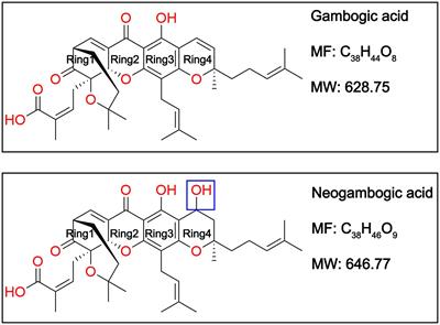 Investigations into the antibacterial effects and potential mechanism of gambogic acid and neogambogic acid